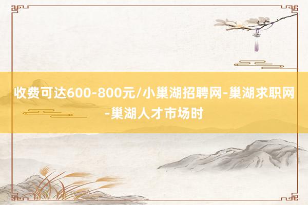 收费可达600-800元/小巢湖招聘网-巢湖求职网-巢湖人才市场时